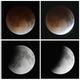 Ilustración para el artículo titulado El último eclipse lunar total (la luna de sangre), en imágenes